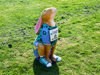Colourful rabbit sculpture wearing a painted vest with "Trail with a Trail" and "Demelza" text, and trainers, sitting on a grassy field.