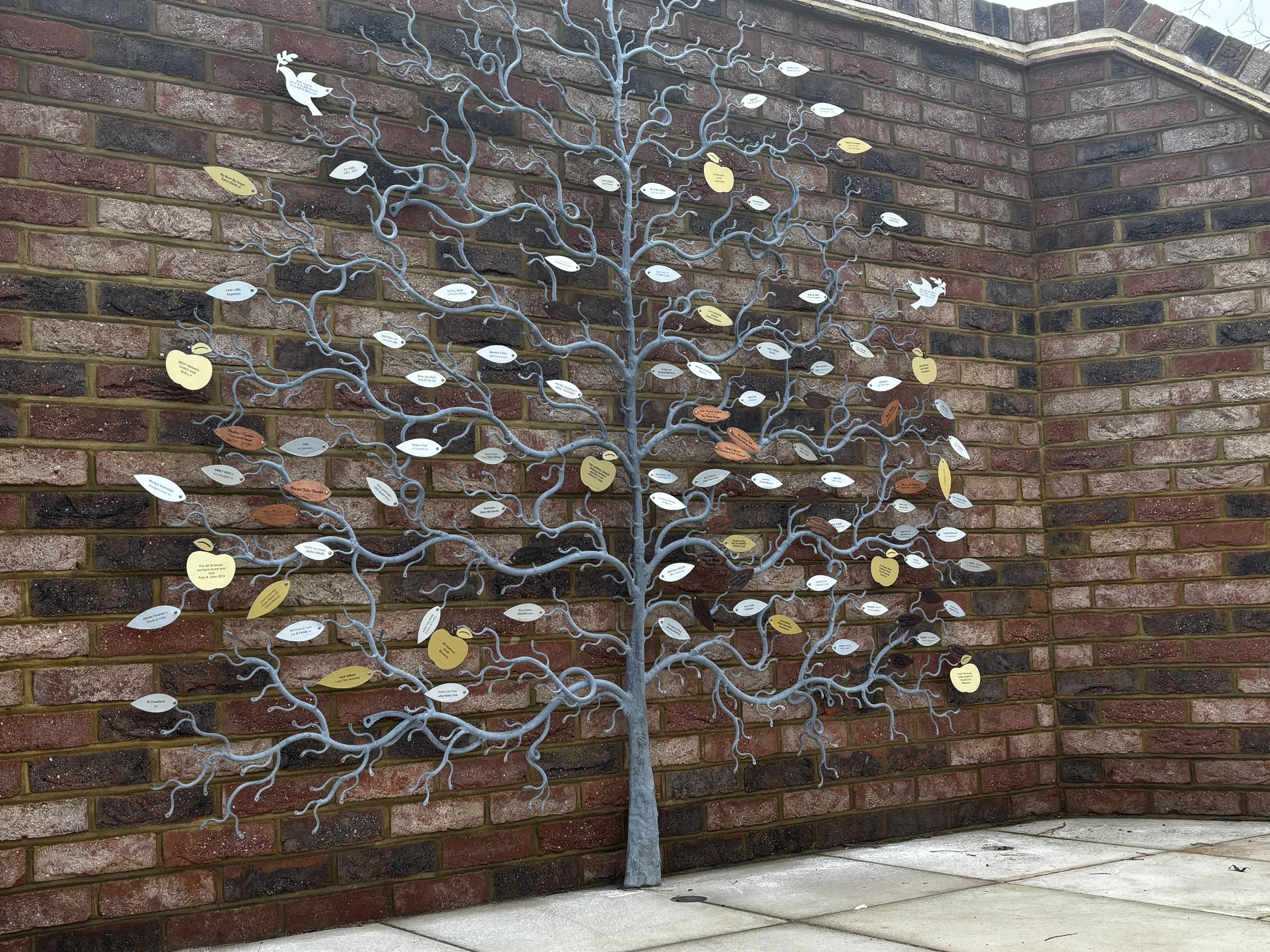 Close up image of the Goodman Tree in the garden