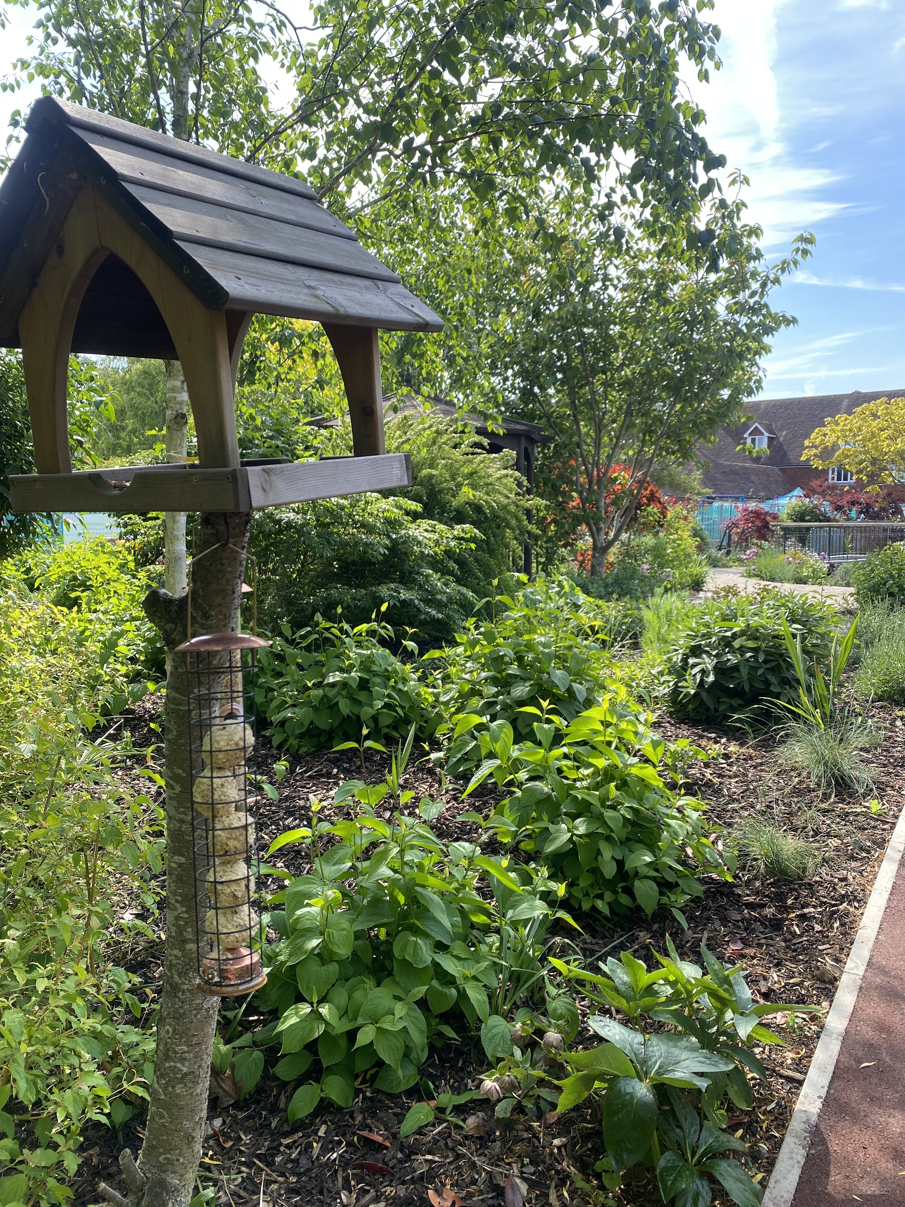 Garden at Demelza Kent