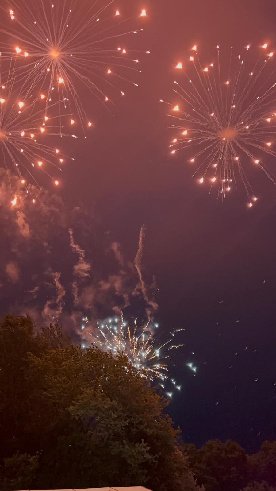 Orange and white fireworks burst in the night sky above the dark silhouette of trees.